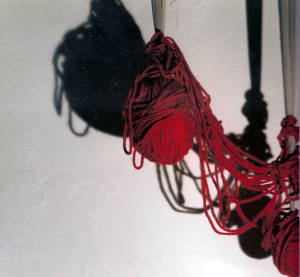 medias-calze -  1999 - collant, lana, oggetti - m. variabili